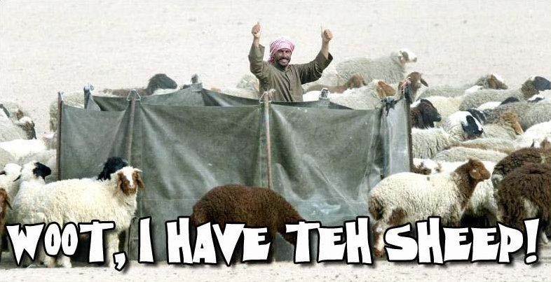 I-have-teh-sheep-woot-1274533067t.jpg