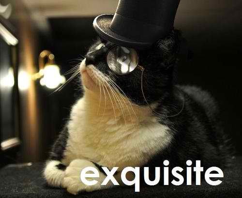 top hat and monocle. Tags: cat top hat monocle
