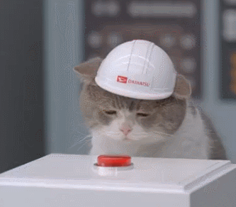 cat-wearing-helmet-pressing-red-button-s