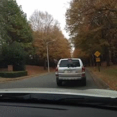 dog-driving-car-swerving-bad-driving-1398041594d.gif