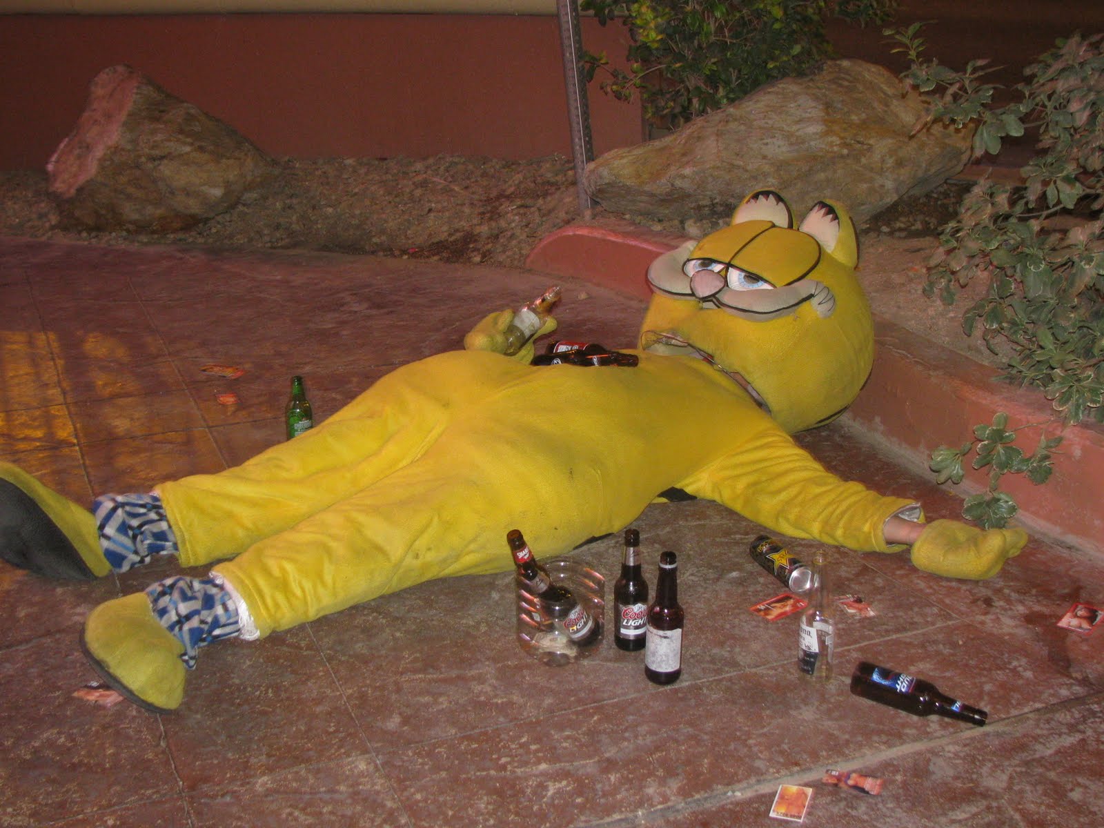 drunk-passed-out-garfield-costume-beer-1