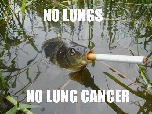 fish-smoking-cigarette-lung-cancer-1331383439G.png
