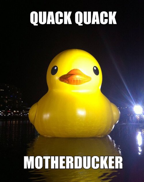 giant-rubber-duck-quack-quack-motherducker-13576971800.jpg