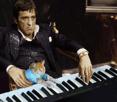 Scarface-keyboard-cat-al-pacino-13022263
