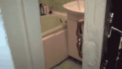 cat-shutting-door-bathroom-busy-13466910