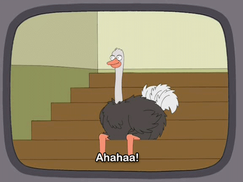 [Image: family-guy-Ostrich-ahaa-ahhaha-laughing-....gif?id=70]
