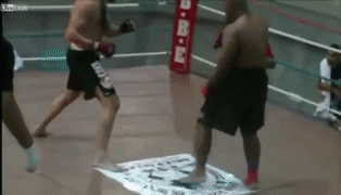 Tags: funny boxing knock out showing off KO