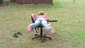 leaf-blower-spinning-office-chair-girl-garden-13813564940.gif?id=782