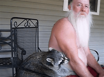 raccoon-biting-old-guy-white-beard-13736773017.gif