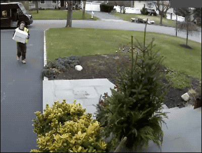 ups-delivery-middle-finger-package-throw-1352474599B.gif