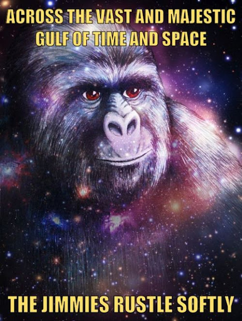 gorilla-jimmies-russtle-space-time-1335224345R.jpg