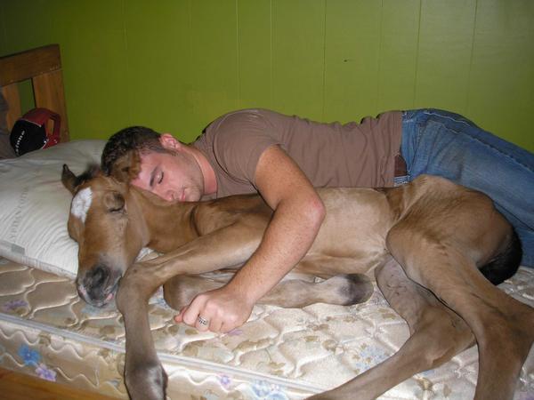 horse-guy-bed-spoon-hugs-12707389061.jpg