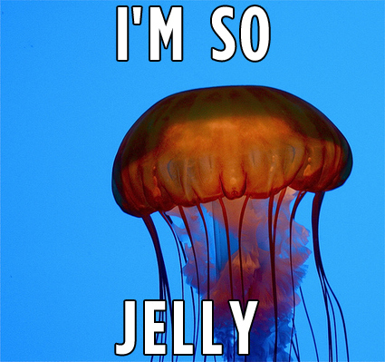 imsojelly-jellyfish-jealous-ocean-blue-13348723997.jpg