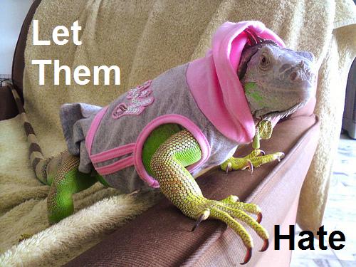 let-them-hate-iguana-hooy-12788705892.jpg