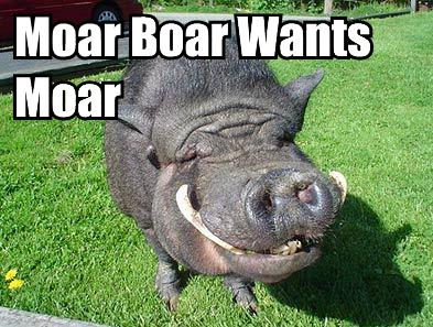 moar-bore-wants-more-boar-12563209896.jpg