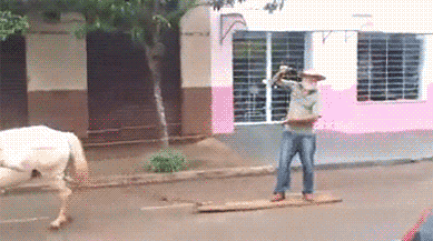 old-man-horse-skiing-surfing-street-13987915802.gif