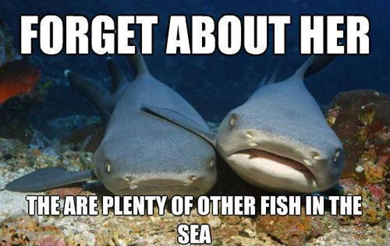plenty-more-fish-sea-sharks-1304224601h.jpg