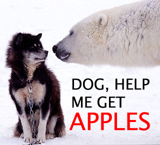 polar-bear-dog-apples-help-12687481214.jpg
