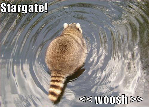 raccoon-stargate-puddle-jump-woosh-12811485228.jpg