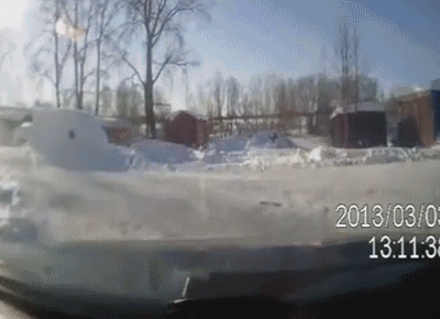 russia-dash-cam-guy-attacked-wolves-random-14150531001.gif