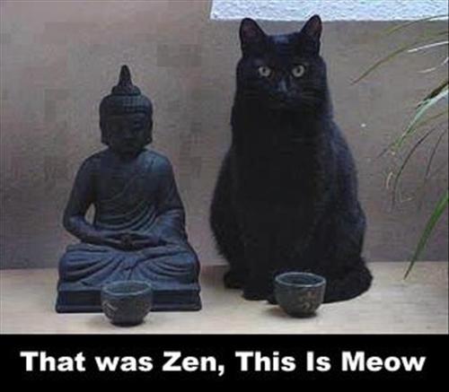 [Image: that-was-zen-cat-meow-13683139480.jpg]