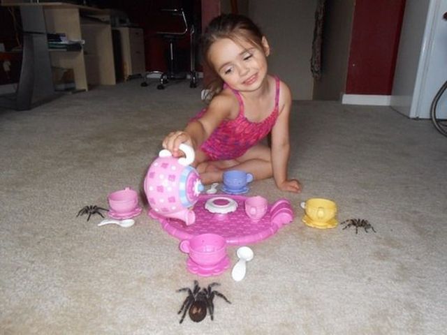 [Image: weird-tea-party-girl-giant-spiders-13894030742.jpg]