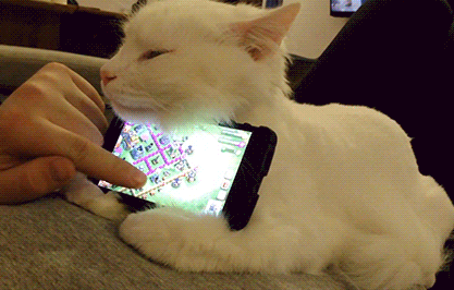 IRTI - funny GIF #9070 - tags: cat phone holder playing games asleep kitten holding phone