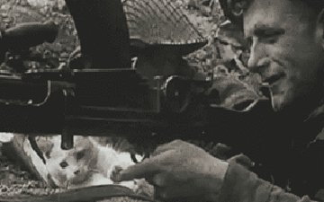 cat-finger-play-sniper-army-1349660293g.gif