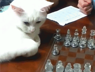 Image result for chess pawn move gif