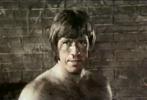 IRTI - funny GIF #3887 - tags: chuck norris bruce lee kitten face close ups