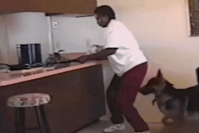 IRTI - funny GIF #4478 - tags: scared cooking crab runs away
