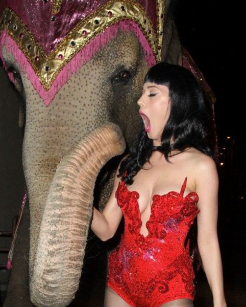 katy-perry-elephant-trunk-mouth-circus-e