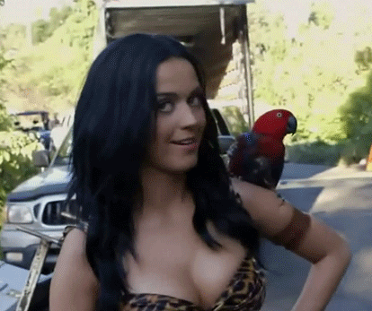 IRTI - funny GIF #7046 - tags: katy perry parrot shoulder weird face teeth