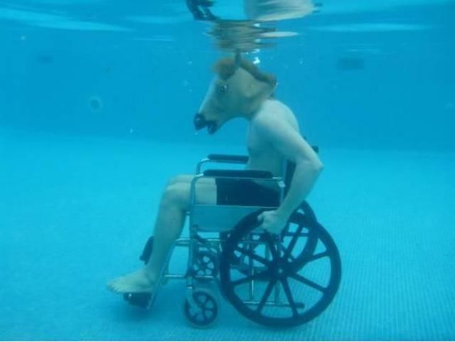 random-underwater-swimming-pool-horse-head-wheelchair-13620755804.jpg