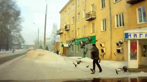 IRTI - funny GIF #9302 - tags: weird round house kick birds pigeons caught